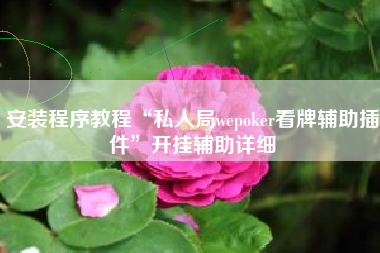 安装程序教程“私人局wepoker看牌辅助插件”开挂辅助详细