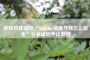 教程开挂辅助“Wepoker透视作弊怎么避免”分享辅助外挂教程