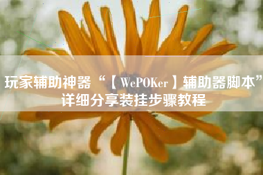 玩家辅助神器“【WePOKer】辅助器脚本”详细分享装挂步骤教程