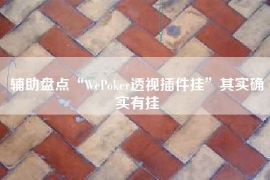 辅助盘点“WePoker透视插件挂”其实确实有挂