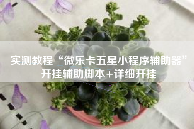 实测教程“微乐卡五星小程序辅助器	”开挂辅助脚本+详细开挂