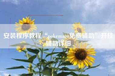 安装程序教程“pokemmo免费辅助”开挂辅助详细