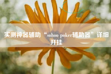 实测神器辅助“sohoo poker辅助器”详细开挂