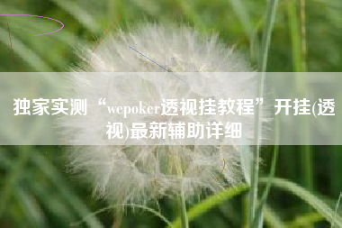 独家实测“wepoker透视挂教程	”开挂(透视)最新辅助详细