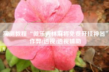 实测教程“微乐吉林麻将免费开挂神器	”作弊(透视)透视辅助