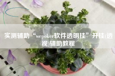 实测辅助“wepoker软件透明挂”开挂(透视)辅助教程