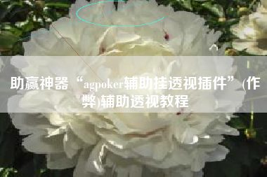 助赢神器“agpoker辅助挂透视插件”(作弊)辅助透视教程