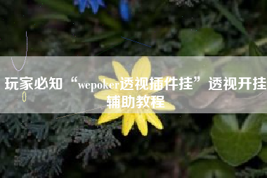 玩家必知“wepoker透视插件挂”透视开挂辅助教程