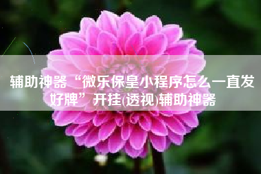 辅助神器“微乐保皇小程序怎么一直发好牌”开挂(透视)辅助神器