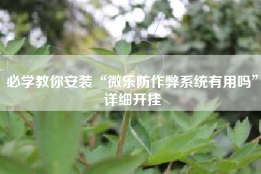 必学教你安装“微乐防作弊系统有用吗”详细开挂