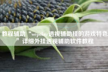 教程辅助“wepoker透视辅助挂的游戏特色	”详细外挂透视辅助软件教程