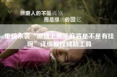 重磅来袭“微信上微乐麻将是不是有挂呀”详细教程辅助工具