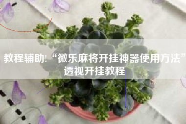 教程辅助!“微乐麻将开挂神器使用方法	”透视开挂教程
