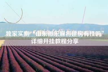 独家实测“山东微乐麻将建房有挂吗”详细开挂教程分享