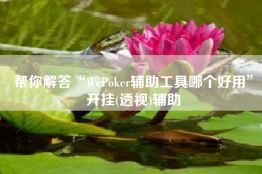 帮你解答“WePoker辅助工具哪个好用”开挂(透视)辅助