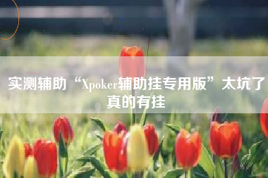 实测辅助“Xpoker辅助挂专用版”太坑了真的有挂