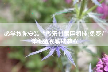 必学教你安装“微乐甘肃麻将挂(免费)”详细透视辅助教程