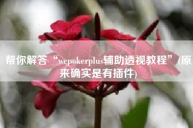 帮你解答“wepokerplus辅助透视教程”(原来确实是有插件)