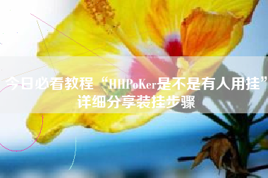 今日必看教程“HHPoKer是不是有人用挂	”详细分享装挂步骤