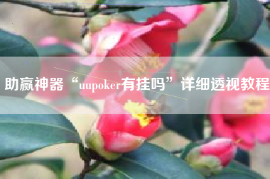 助赢神器“uupoker有挂吗	”详细透视教程