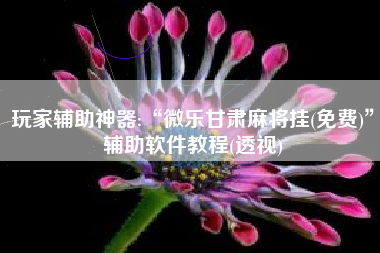 玩家辅助神器:“微乐甘肃麻将挂(免费)”辅助软件教程(透视)