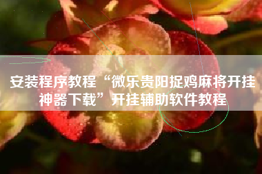 安装程序教程“微乐贵阳捉鸡麻将开挂神器下载”开挂辅助软件教程