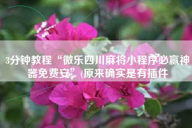 3分钟教程“微乐四川麻将小程序必赢神器免费安”(原来确实是有插件