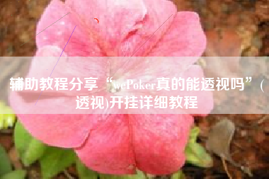 辅助教程分享“wePoker真的能透视吗	”(透视)开挂详细教程