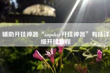 辅助开挂神器“aapoker开挂神器”有挂详细开挂教程