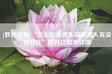 [教程经验]“怎么知道微乐麻将别人有没有开挂	”附开挂脚本详细