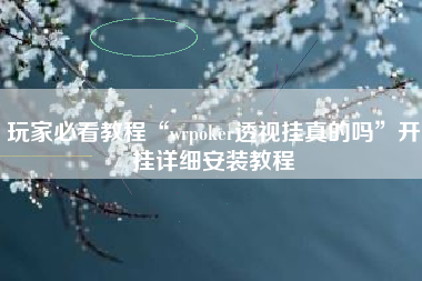 玩家必看教程“wrpoker透视挂真的吗”开挂详细安装教程