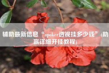 辅助最新信息“apoker透视挂多少钱	”(助赢详细开挂教程)