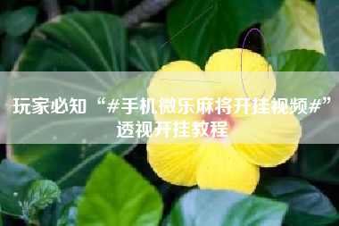 玩家必知“#手机微乐麻将开挂视频#”透视开挂教程