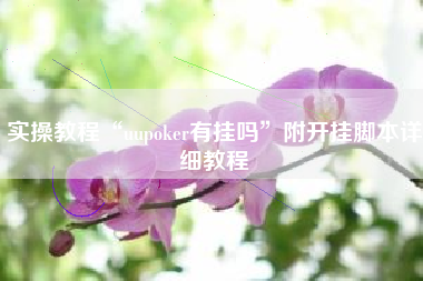 实操教程“uupoker有挂吗”附开挂脚本详细教程 实操教程“uupoker有挂吗”附开挂脚本详细教程