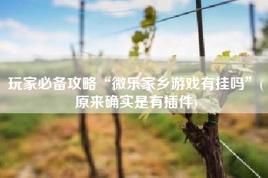 玩家必备攻略“微乐家乡游戏有挂吗”(原来确实是有插件)