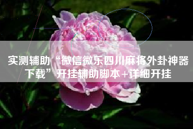 实测辅助“微信微乐四川麻将外卦神器下载	”开挂辅助脚本+详细开挂