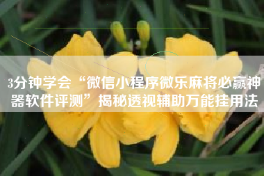 3分钟学会“微信小程序微乐麻将必赢神器软件评测”揭秘透视辅助万能挂用法