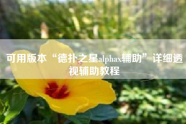 可用版本“德扑之星alphax辅助	”详细透视辅助教程