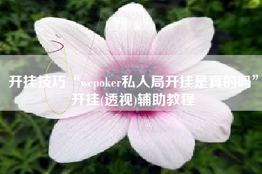 开挂技巧“wepoker私人局开挂是真的吗	”开挂(透视)辅助教程