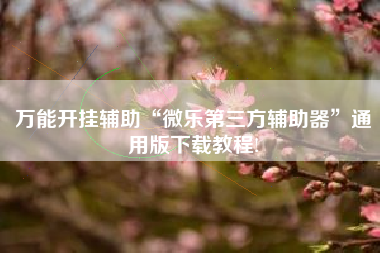 万能开挂辅助“微乐第三方辅助器”通用版下载教程!