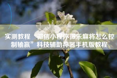 实测教程“微信小程序微乐麻将怎么控制输赢”科技辅助神器手机版教程