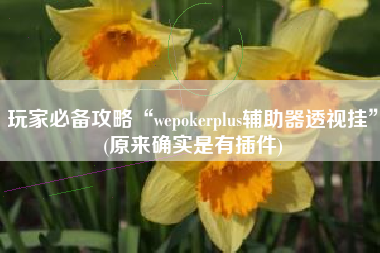 玩家必备攻略“wepokerplus辅助器透视挂”(原来确实是有插件)