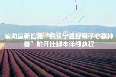 辅助最新信息“微乐宁夏捉麻子必赢神器”附开挂脚本详细教程 辅助最新信息“微乐宁夏捉麻子必赢神器”附开挂脚本详细教程