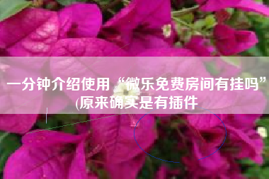 一分钟介绍使用“微乐免费房间有挂吗	”(原来确实是有插件