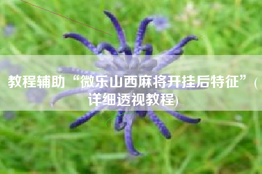 教程辅助“微乐山西麻将开挂后特征	”(详细透视教程)