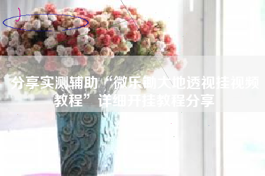 分享实测辅助“微乐锄大地透视挂视频教程”详细开挂教程分享