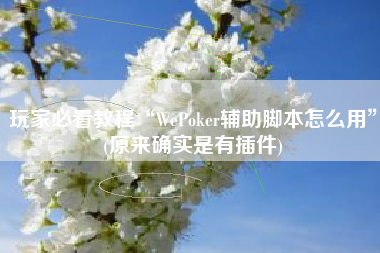 玩家必看教程“WePoker辅助脚本怎么用”(原来确实是有插件) 玩家必看教程“WePoker辅助脚本怎么用”(原来确实是有插件)