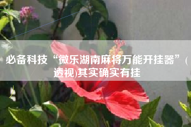 必备科技“微乐湖南麻将万能开挂器	”(透视)其实确实有挂