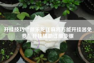 开挂技巧“微乐龙江麻将万能开挂器免费”开挂辅助详细步骤