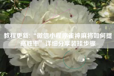 教程更新!“微信小程序雀神麻将如何提高胜率”详细分享装挂步骤